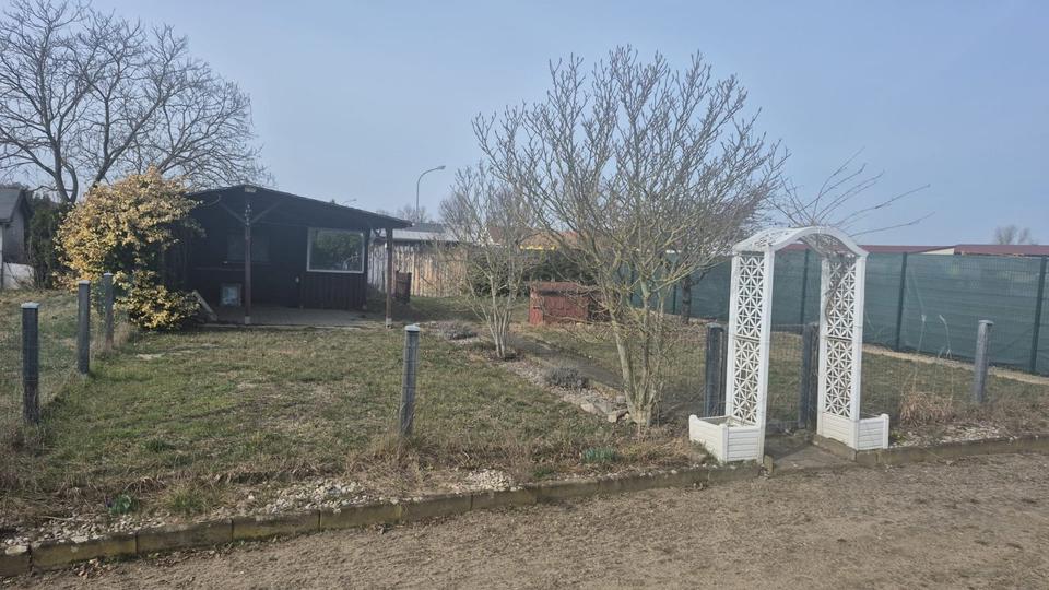 Grundstück Zahna-Elster Elster - 85&euro; | Angebot:25408272