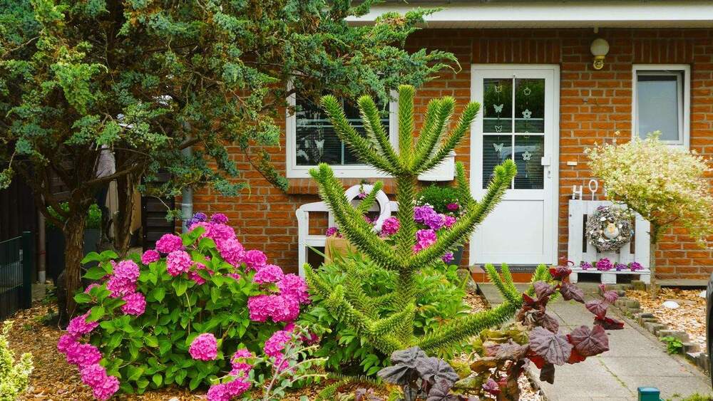 Gepflegte Doppelhaushälfte in ruhiger Wohnlage 3 zimmer