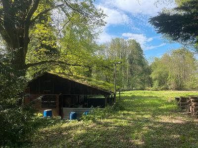 IHR GANZ PRIVATES STÜCK NATUR - Grundstück Kuppenheim | Angebot:26629562