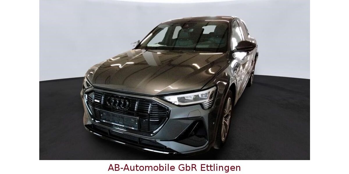 Audi e-tron 56.380 km 29.900 &euro; Ettlingen 76275