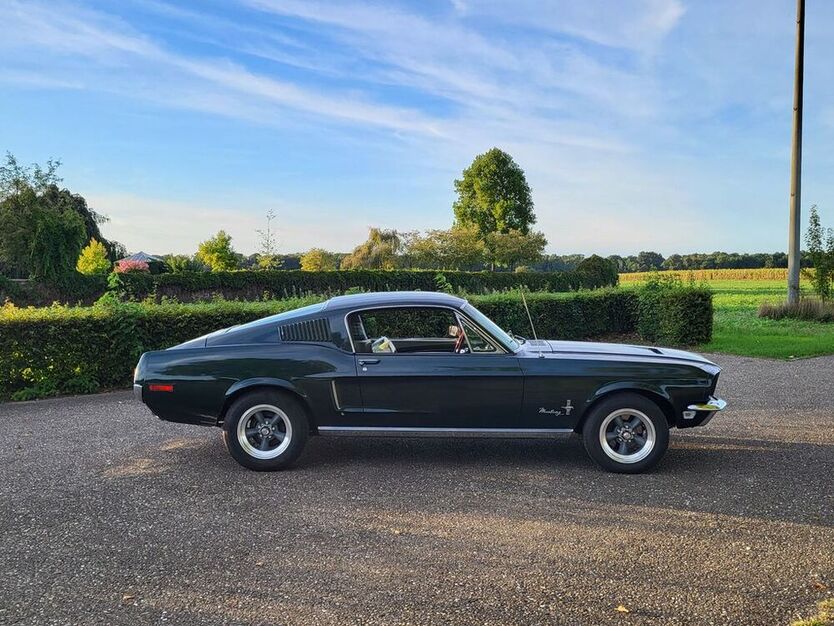 Mustang