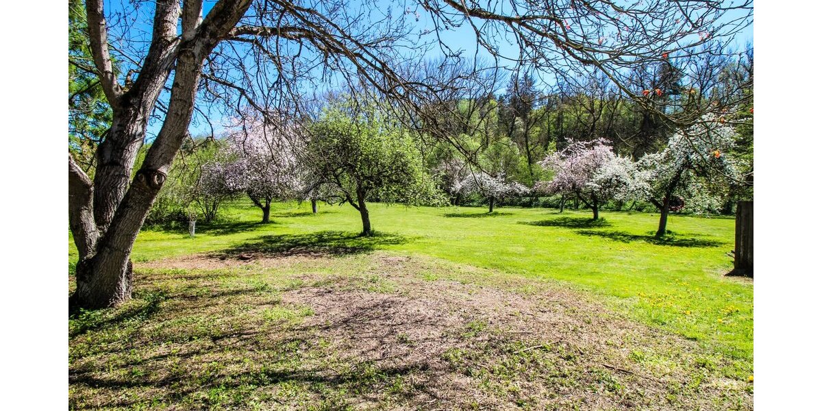 Einfamilienhaus mit Traumgrundstück direkt am Neckar in Rottweil-Bühlingen - Einfamilienhaus Rottweil-Bühlingen Bühlingen | Angebot:27070327