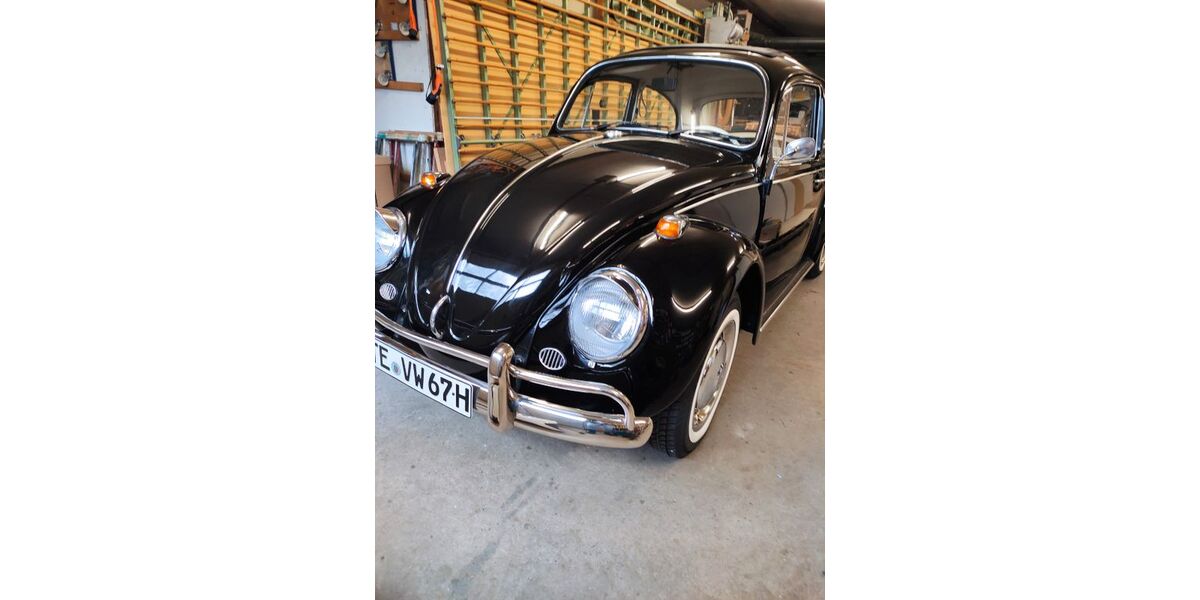 VW Käfer 12.345 km 14.000 &euro; Ladbergen 49549