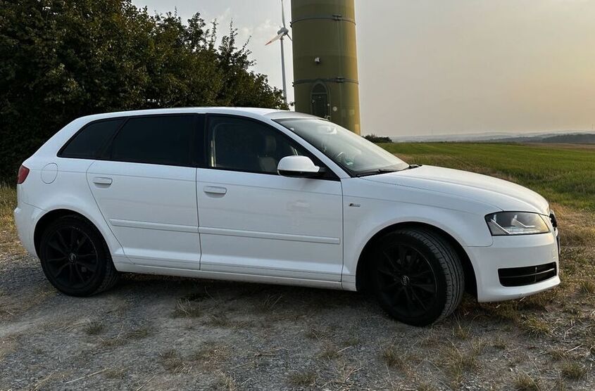 A3