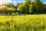 IHR TRAUM VOM EIGENHEIM BEGINNT HIER - Grundstück Hirschaid | Angebot:27132781