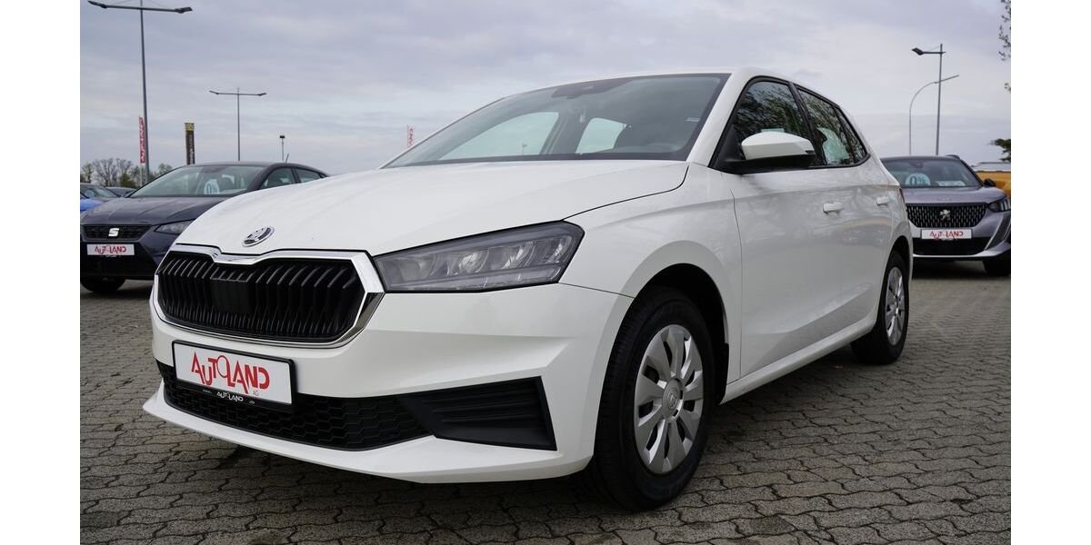 Skoda Fabia 26.485 km 17.950 &euro; Brehna 06796
