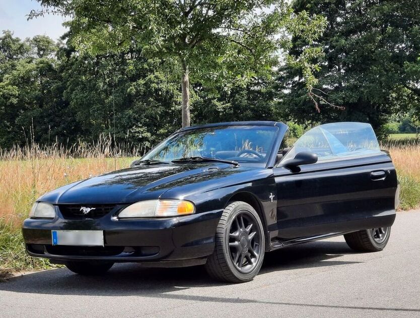 Mustang