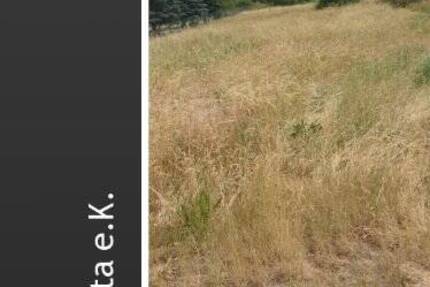 Grundstück Hohen Saaten Hohensaaten - 85.000&euro; | Angebot:25744304