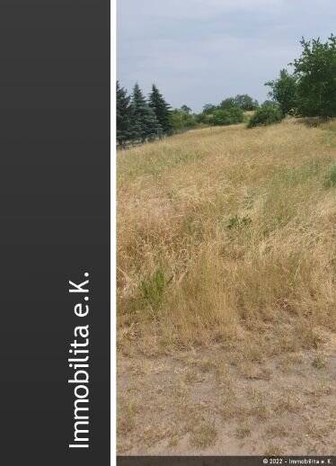 Grundstück Hohen Saaten Hohensaaten - 85.000&euro; | Angebot:25744304