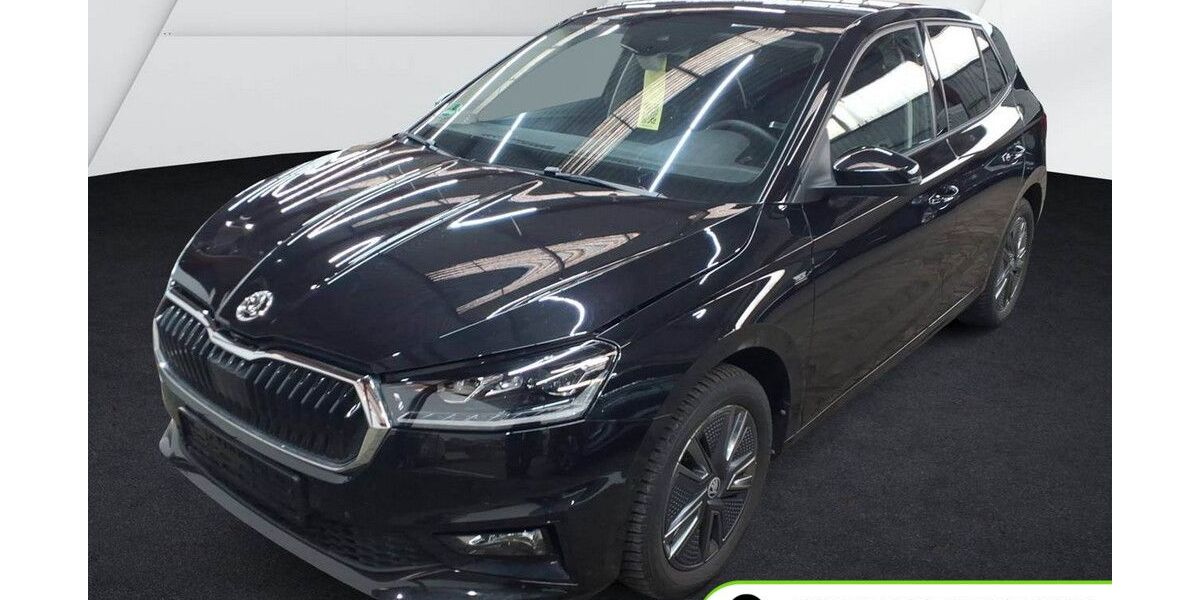 Skoda Fabia 14.702 km 21.990 &euro; Pulheim-Brauweiler 50259
