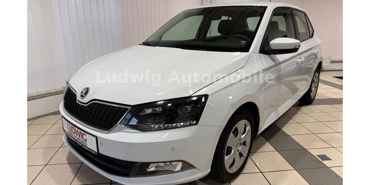 Skoda Fabia 69.069 km 11.980 &euro; Pößneck 07381