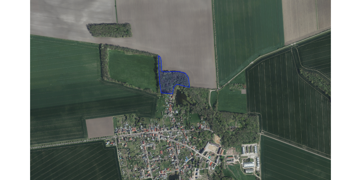 Grundstück zu verkaufen in 06369 Köthen (Anhalt) OT Merzien 36.700 € 20851 m² zimmer