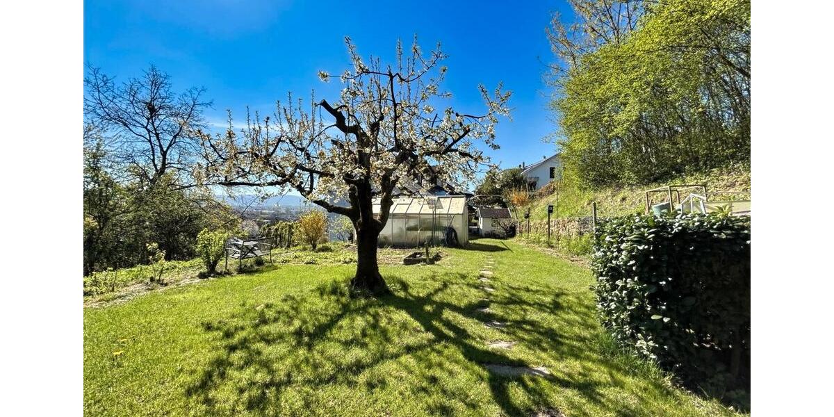 Maisonettenwohnung Emmendingen - 6.5 Zimmer, 224 m&sup2;, 2.480&euro; | Angebot:26066448