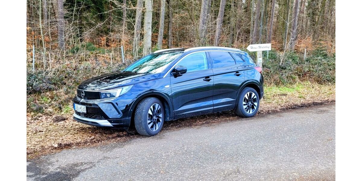 Opel Grandland (X) 68.789 km 19.700 &euro; Erlenbach 63906