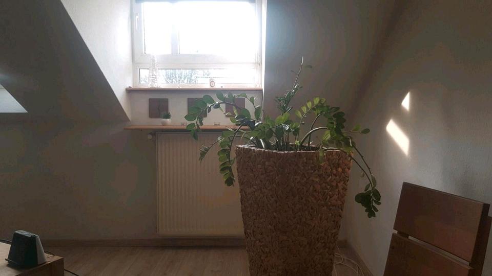 Dachgeschoßwohnung Ahaus - 1.5 Zimmer, 42 m&sup2;, 115.000&euro; | Angebot:26612148