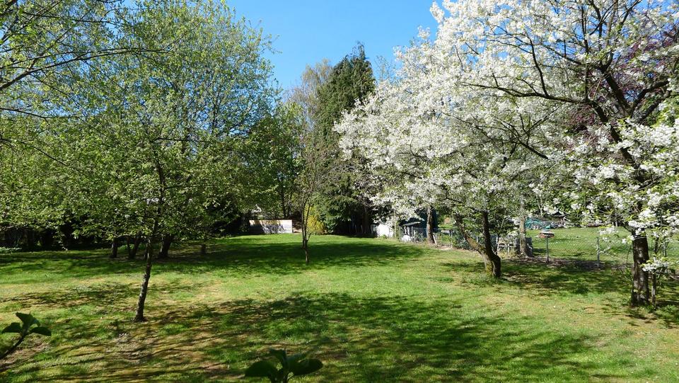 Einfamilienhaus Hohenlockstedt - 4 Zimmer, 95 m&sup2;, 349.000&euro; | Angebot:27027195