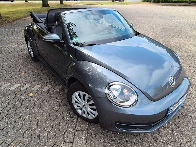Beetle