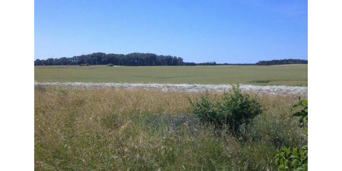 Doppelhaushälfte Brüssow - 4 Zimmer, 100 m&sup2;, 198.000&euro; | Angebot:19030335