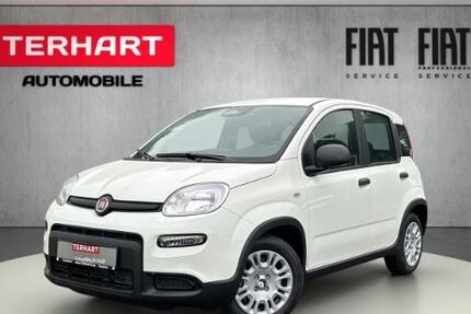 Fiat Panda 5.999 km 14.987 &euro; Stadtlohn 48703
