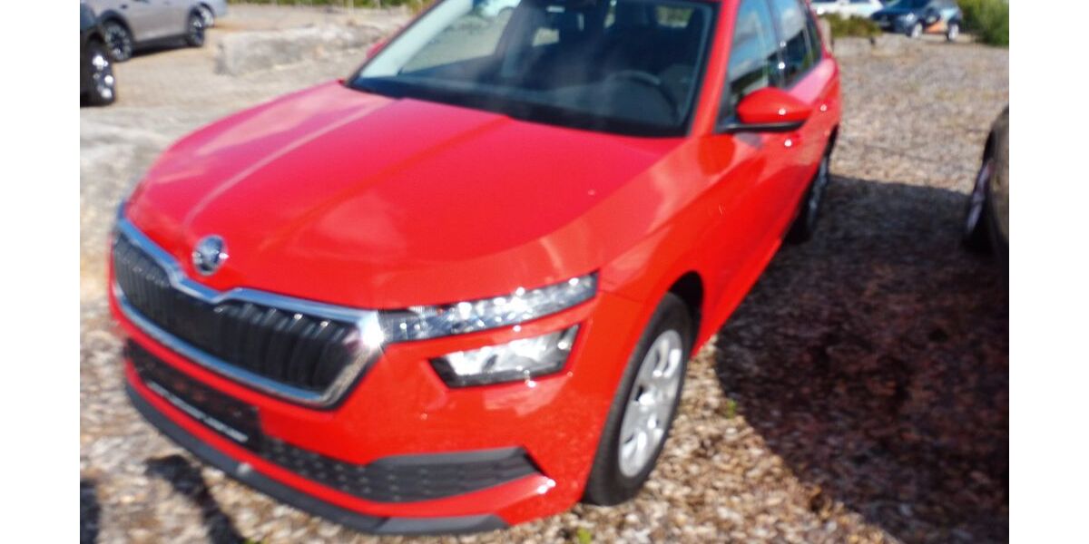 Skoda Kamiq 101.393 km 13.540 &euro; Lauchheim 73466
