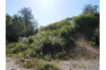 INVESTOREN: BAU EINES MEHRFAMILIENHAUS ODER 2 DHH - Grundstück Regenstauf | Angebot:27233843