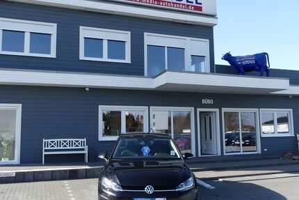 VW Golf 36.000 km 19.000 &euro; Magdeburg 39108