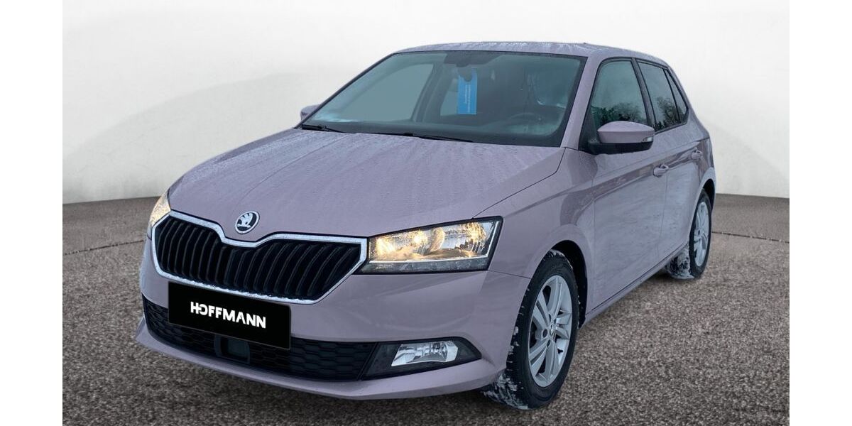 Skoda Fabia 34.783 km 15.590 &euro; Pößneck 07381