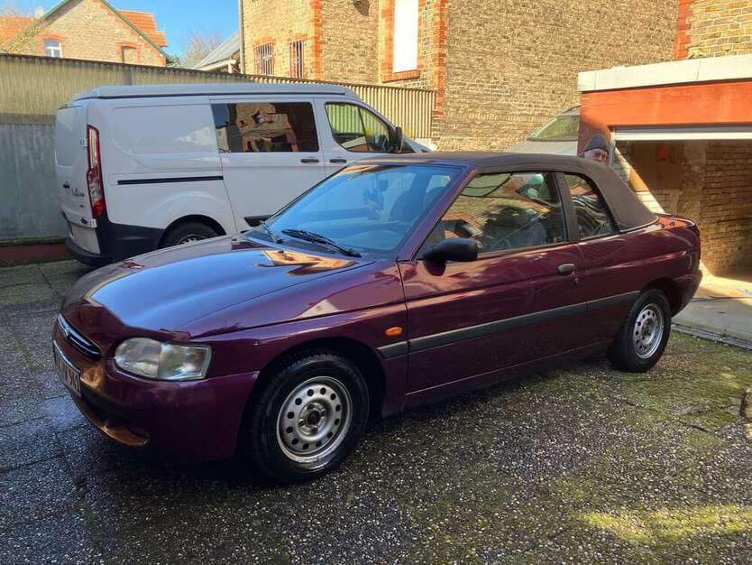 Escort
