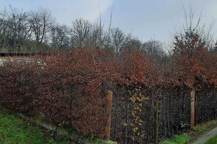Weimar Gartengrundstück mit Laube zimmer