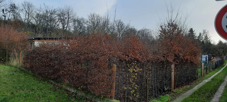 Weimar Gartengrundstück mit Laube zimmer