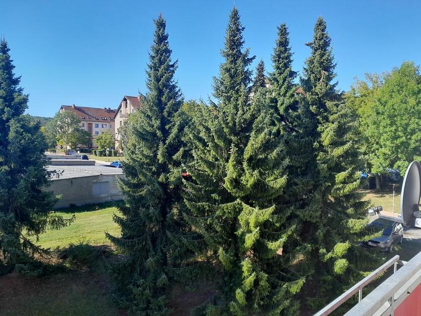 * Familienwohnung mit Reparaturbedarf :) * zimmer