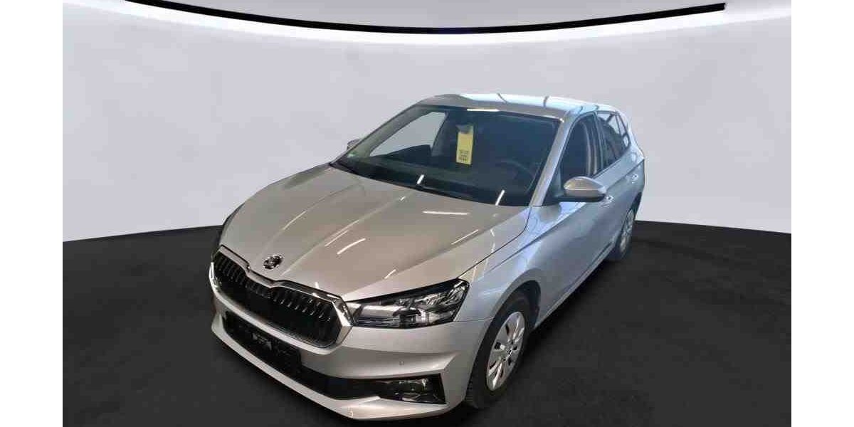 Skoda Fabia 30.323 km 16.900 &euro; Sasbach 77880