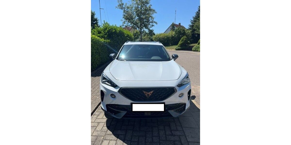 Cupra Formentor 125.000 km 20.500 &euro; Völklingen 66333