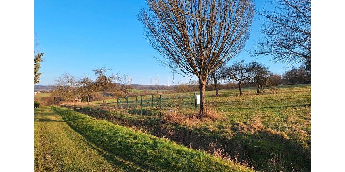 Bungalow Hattert - 4 Zimmer, 100 m&sup2;, 1.250&euro; | Angebot:25621470