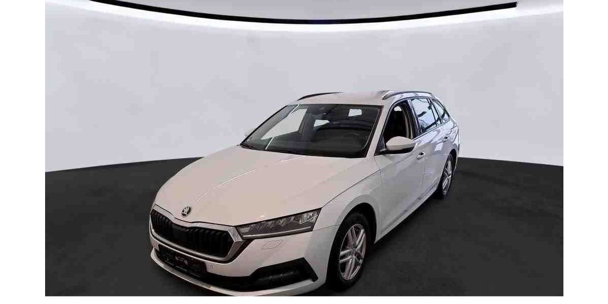 Skoda Octavia 117.254 km 20.220 &euro; Borken 46325