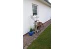 Bungalow Grömitz - 3 Zimmer, 90 m&sup2;, 465.000&euro; | Angebot:26826350