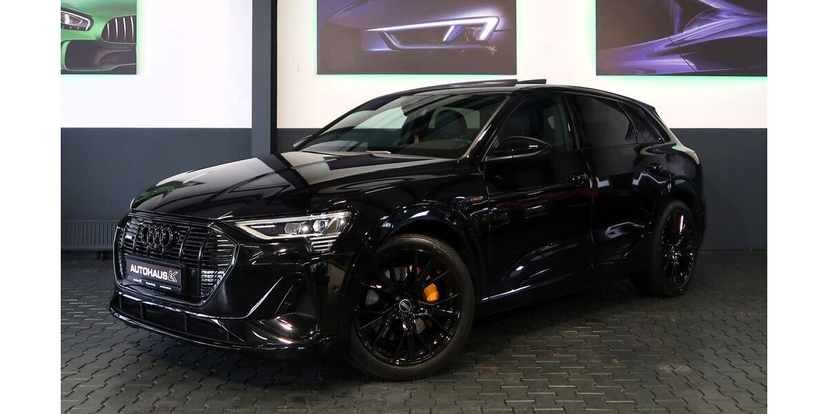 Audi e-tron 32.159 km 39.990 &euro; Braunschweig 38112