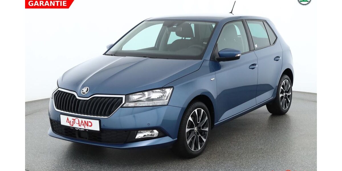 Skoda Fabia 19.733 km 14.990 &euro; Gotha 99867