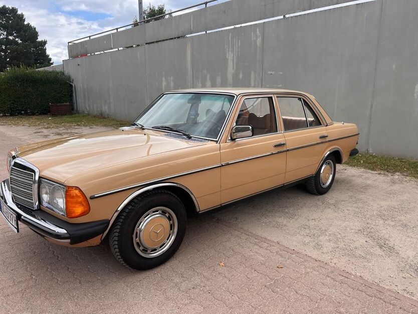 230
