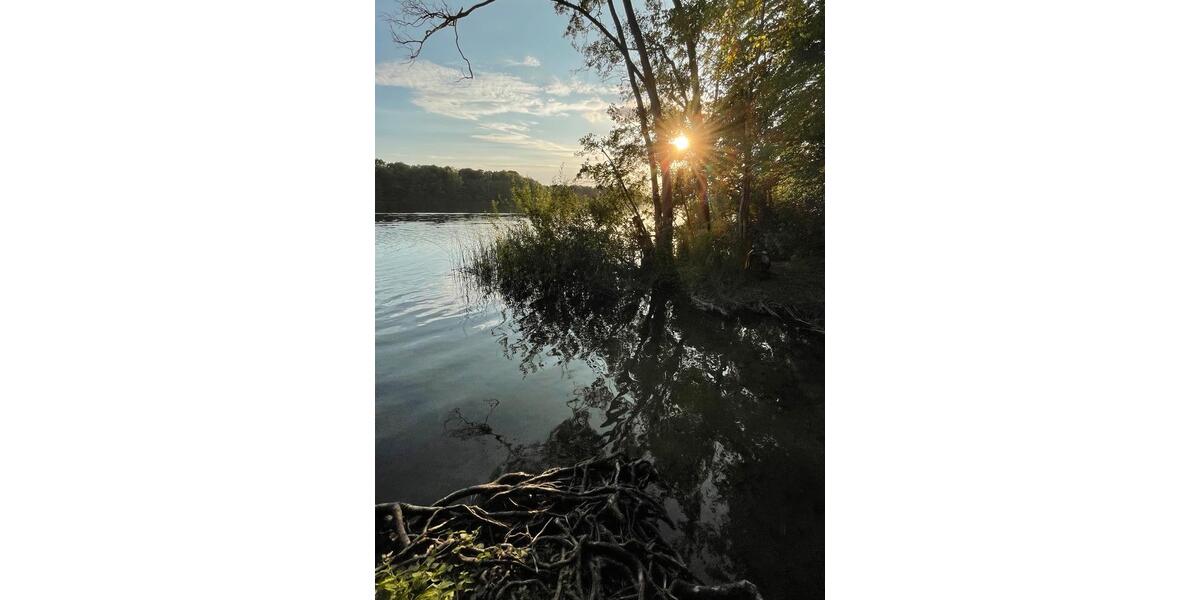 Einfamilienhaus Schwerin Friedrichsthal - 3 Zimmer, 100 m&sup2;, 1.400&euro; | Angebot:25178235