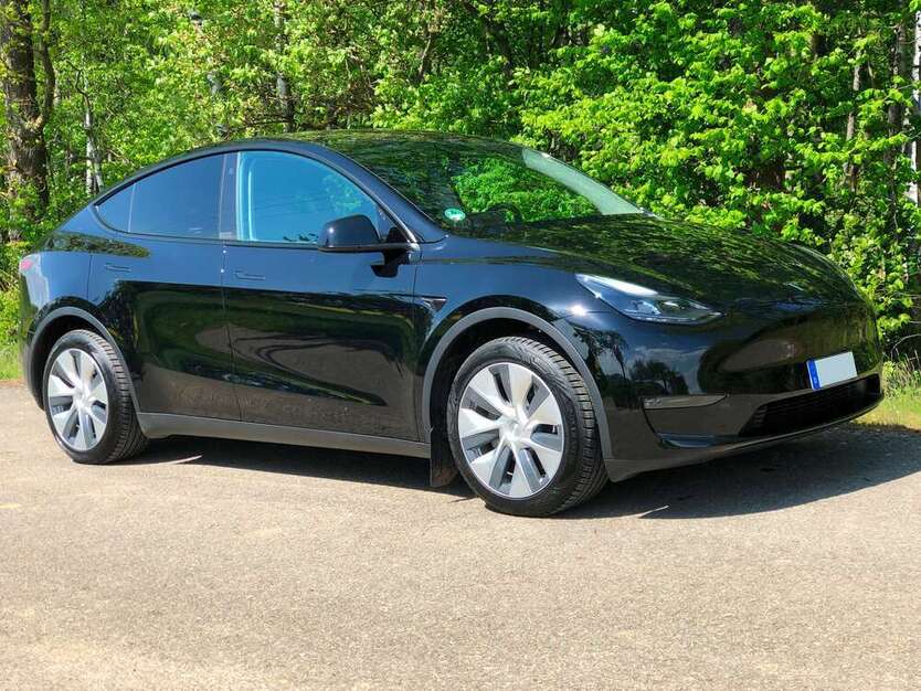 Model Y