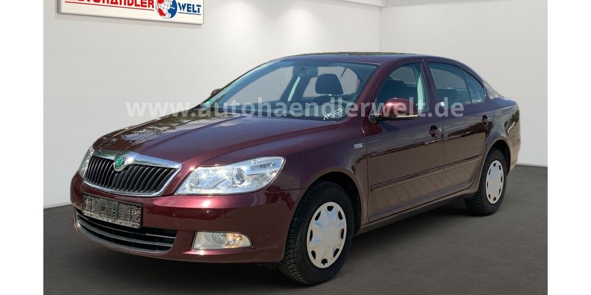 Skoda Octavia 181.052 km 3.699 &euro; Brehna 06796