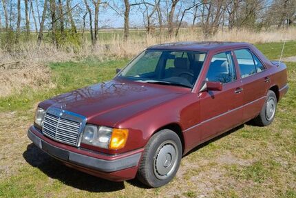 Mercedes 230