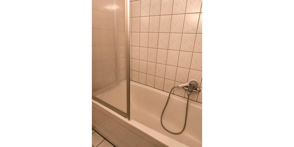 Dachgeschoßwohnung Ludwigshafen am Rhein Parkinsel - 2 Zimmer, 56 m&sup2;, 550&euro; | Angebot:26365125