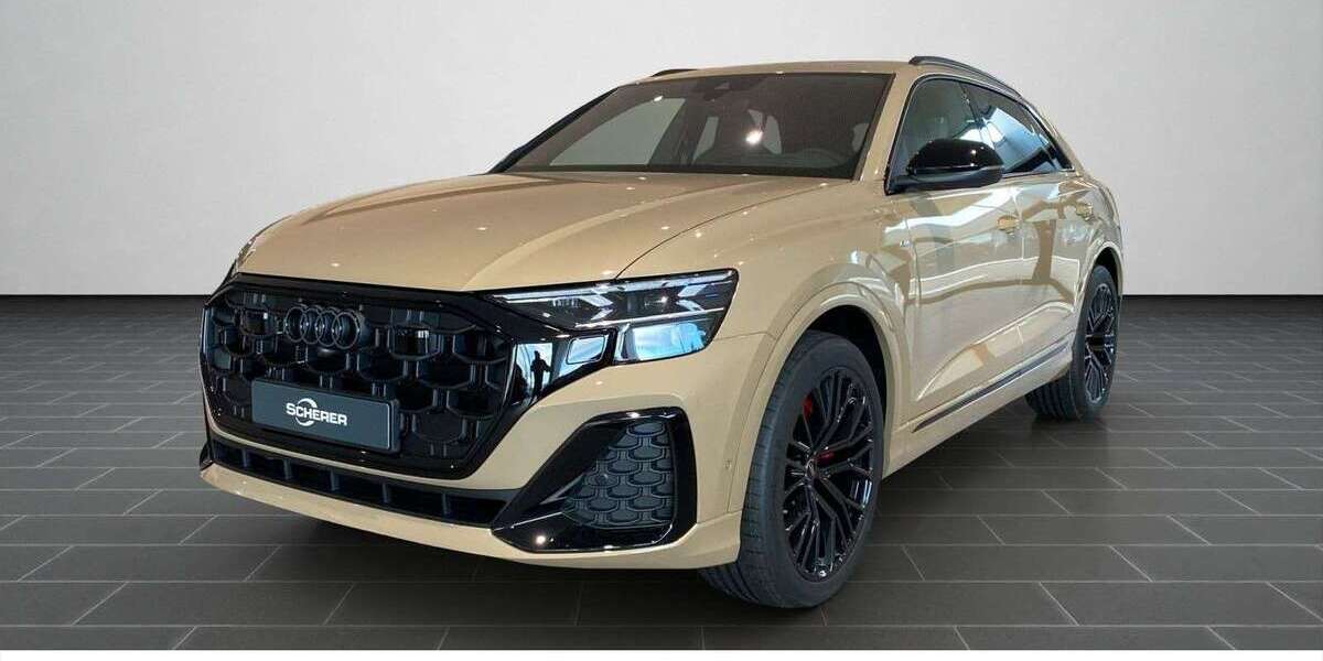 Audi Q8 1.100 km 100.980 &euro; Simmern 55469