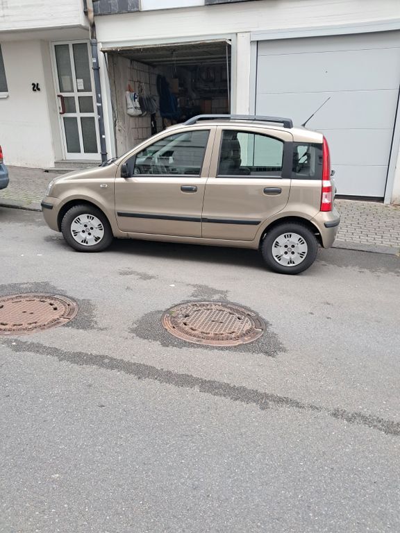 Panda