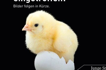 Mercedes-Benz B 200 18.660 km 30.740 &euro; Füssen 87629