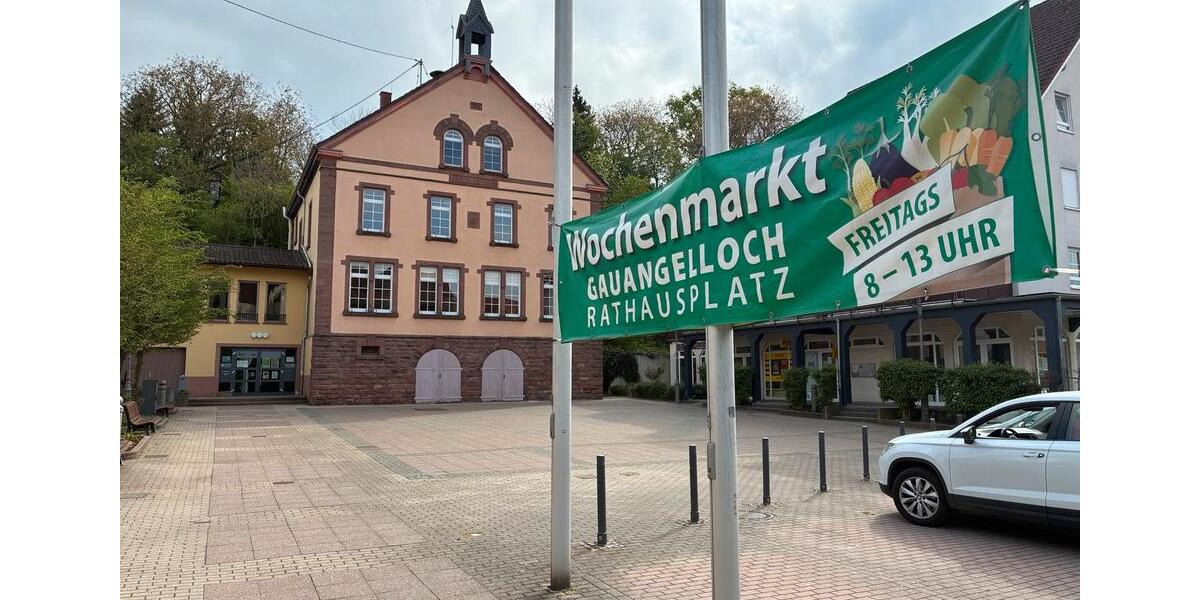 Doppelhaushälfte Heidelberg Handschuhsheim - 5 Zimmer, 210 m&sup2;, 1.850&euro; | Angebot:26380802