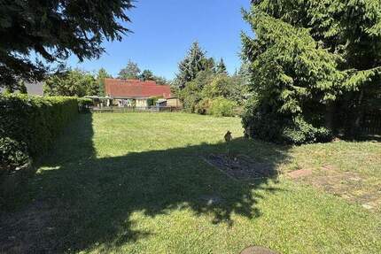 Für Macher und Kreative - Ihr Projekt in Wolfen-Süd 3 zimmer