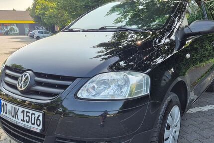 VW Fox